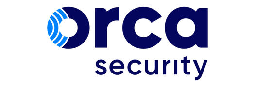Orca security